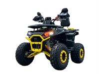 купить Квадроцикл ATV GT Racer Max 200 Pro в Москве - фото 