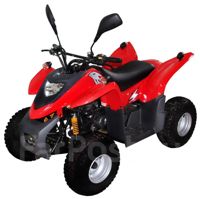купить Квадроцикл ADLY ATV-50 в Москве - фото 