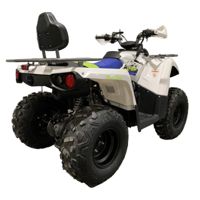 купить Квадроцикл MOTOLAND Shark 200 в Москве - фото 