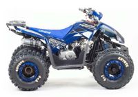 купить Квадроцикл MOTOLAND 125 Coyote (2021 Г.) в Москве - фото 