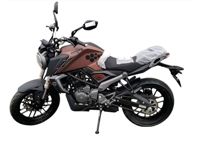 купить Мотоцикл RACER RC250XZR-X КАЙМАН ENDURO в Москве - фото 