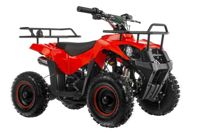 купить Квадроцикл TIGER Mini 49 (2024) в Москве - фото 