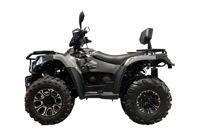 купить Квадроцикл LINHAI-YAMAHA P320 Promax в Москве - фото 