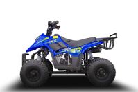 купить Квадроцикл TIGER 150 Universal RX в Москве - фото 