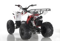 купить Квадроцикл ATV Commander Spark в Москве - фото 