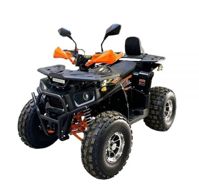купить Квадроцикл BISON AFN 125 LUX в Москве - фото 