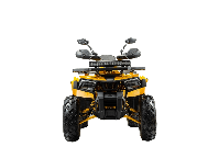 купить Квадроцикл BISON Track X PRO в Москве - фото 