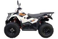 купить Квадроцикл KAYO AU300 Carb в Москве - фото 