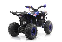 купить Квадроцикл MOTAX Grizlik A125 в Москве - фото 