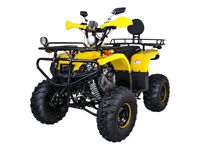 купить Квадроцикл AVANTIS Patriot Lux в Москве - фото 