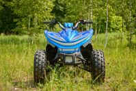 купить Квадроцикл SHARMAX Cross 180 RX в Москве - фото 