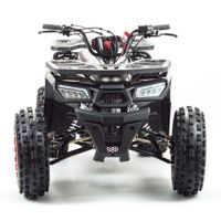 купить Квадроцикл MOTOLAND Wild 150 в Москве - фото 