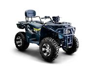 купить Квадроцикл BIZON ZX350 в Москве - фото 
