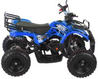 купить Квадроцикл MOTAX ATV Mini Grizlik X-16 в Москве - фото 