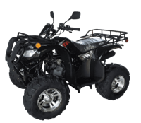 купить Квадроцикл RATO Hammer 200 Lux в Москве - фото 