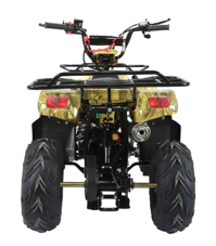 купить Квадроцикл ATV Termit TT Cross в Москве - фото 