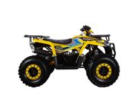 купить Квадроцикл АVANTIS Oрtimа 8 New Luх 125 в Москве - фото 