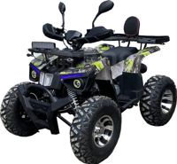 купить Квадроцикл GRIZZLY M200 4Т New 2022 в Москве - фото 