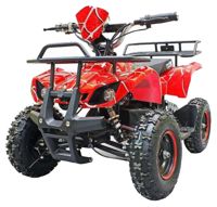 купить Электроквадроцикл GREEN CAMEL Гоби K21 в Москве - фото 