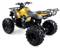 купить Квадроцикл MOTAX ATV Grizlik-8 125 в Москве - фото 