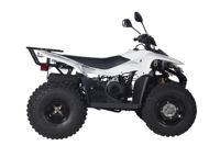 купить Квадроцикл BALTMOTORS Jam 100 в Москве - фото 