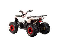 купить Квадроцикл MOTOLAND 125 Wild в Москве - фото 