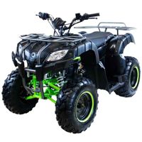 купить Квадроцикл MOTAX ATV Grizlik 200 Lux в Москве - фото 