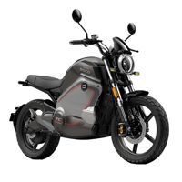 купить Электромотоцикл SUPER SOCO TC Wanderer Pro (2 кВт) в Москве - фото 