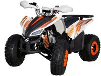 купить Квадроцикл МОТОМИР SPORTY 125 в Москве - фото 