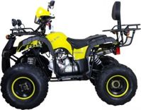 купить Квадроцикл AVANTIS Hunter 8M Lux 125 2017 в Москве - фото 