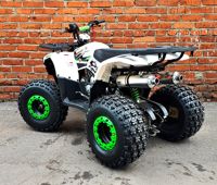 купить Квадроцикл MOWGLI Hardy 8+ в Москве - фото 