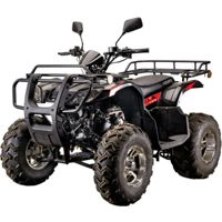 купить Квадроцикл YACOTA Sela Lux 150 LD в Москве - фото 