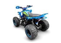 купить Квадроцикл RACER Typhoon 250 в Москве - фото 