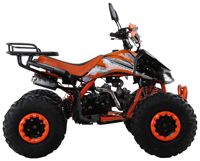 купить Квадроцикл MOTAX ATV T-Rex Super LUX 125 cc в Москве - фото 