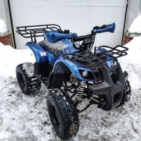 купить Квадроцикл MOTOLAND 125 Fox A в Москве - фото 