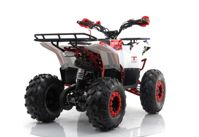 купить Квадроцикл MOTAX Grizlik A125 в Москве - фото 