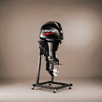 купить 4х-тактный лодочный мотор ГЛАДИАТОР GEF60FVEL-T в Москве - фото 