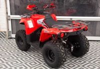 купить Квадроцикл MIKILON Hammer 200L Pro в Москве - фото 