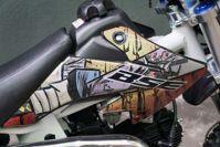 купить Мотоцикл BSE EVO 110e Samurai SA PITBIKE в Москве - фото 