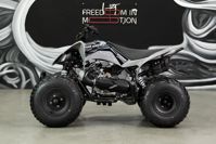 купить Квадроцикл SHARMAX Raizer Race Cup 250 в Москве - фото 