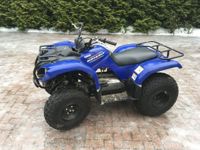 купить Квадроцикл GRIZZLY 125 в Москве - фото 