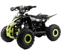 купить Квадроцикл MOTOLAND Raptor 110 в Москве - фото 