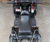 купить Квадроцикл MOWGLI Mini Hardy 4T в Москве - фото 