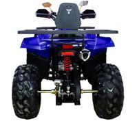 купить Квадроцикл AVANTIS Hunter 200 New Premium (2020) в Москве - фото 