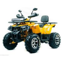 купить Квадроцикл MOTOLAND 200 Wild Track X Pro (Баланс. вал) (2021 Г.) в Москве - фото 