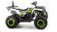 купить Квадроцикл MOTOLAND ATV 200 Wild Track в Москве - фото 