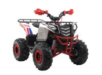 купить Квадроцикл MOTAX Grizlik A125 в Москве - фото 