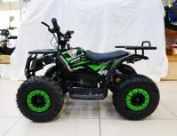 купить Электроквадроцикл MOTAX Grizlik X16 New E1000 в Москве - фото 