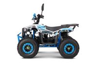 купить Квадроцикл YACOTA Sirius 110 в Москве - фото 