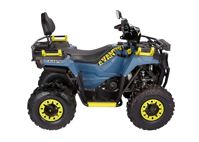 купить Квадроцикл AVANTIS Ray 200 Premium в Москве - фото 